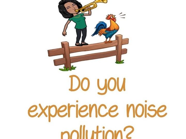 Do you experience  noise pollution