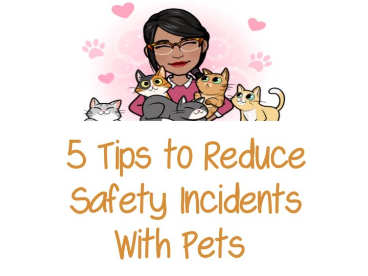 Tips to reduce safety incidents around pets